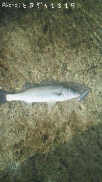 �����Х�