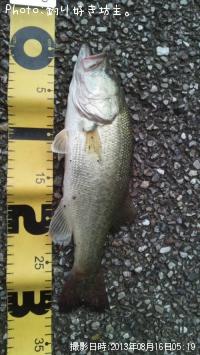 �֥�å��Х�