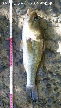 ¥Ö¥é¥Ã¥¯¥Ð¥¹