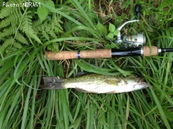 ¥Ö¥é¥Ã¥¯¥Ð¥¹