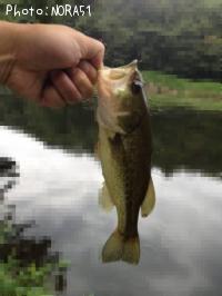 �֥�å��Х�