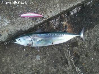 ���������ĥ�