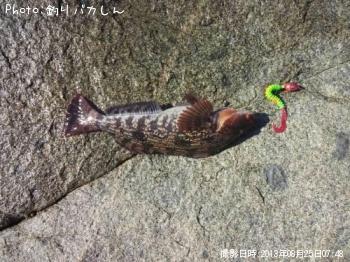 �����ʥ�