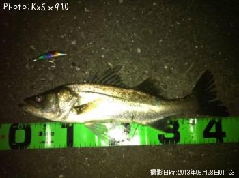 �����Х�