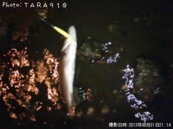 �����Х�