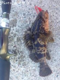 �����Υ���Х�