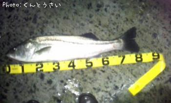 �����Х�