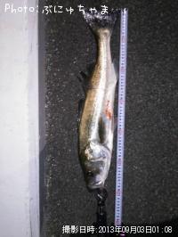 �����Х�