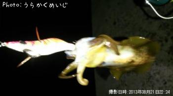 �����ꥤ��