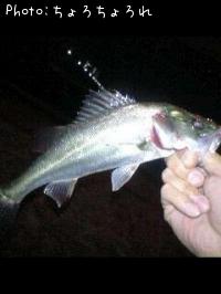 �����Х�