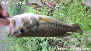 �֥�å��Х�