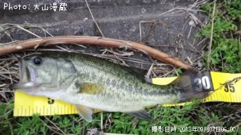 �֥�å��Х�