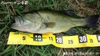 �֥�å��Х�