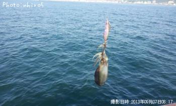 �����ꥤ��