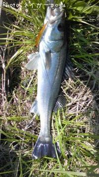 �����Х�