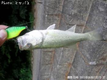 �֥�å��Х�