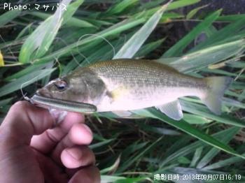 �֥�å��Х�