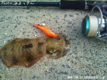 �����ꥤ��