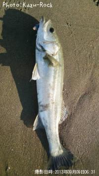 �����Х�