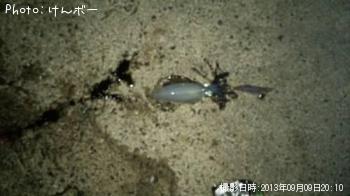 �����ꥤ��