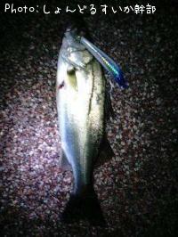 �����Х�