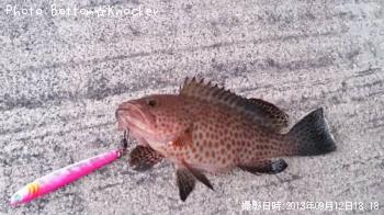 ¥ª¥ª¥â¥ó¥Ï¥¿