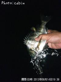 ���ӥ���