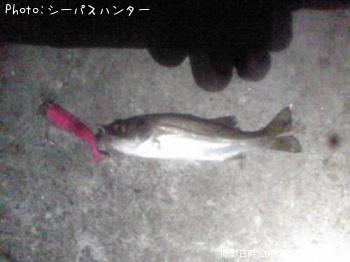 �����Х�