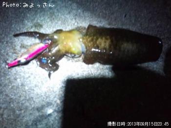 �����ꥤ��