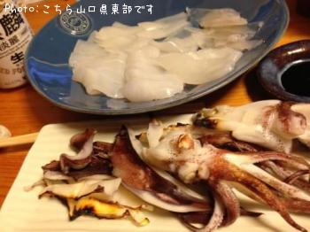 ¥¢¥ª¥ê¥¤¥«