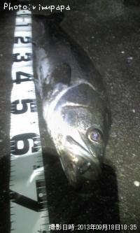 �����Х�