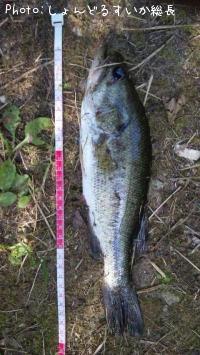 ¥Ö¥é¥Ã¥¯¥Ð¥¹