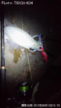 �����ꥤ��