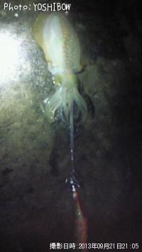 �����ꥤ��