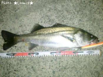 �����Х�