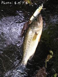 �֥�å��Х�