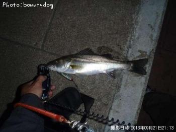 �����Х�