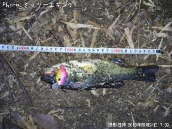 ¥Ö¥é¥Ã¥¯¥Ð¥¹