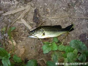 �֥�å��Х�