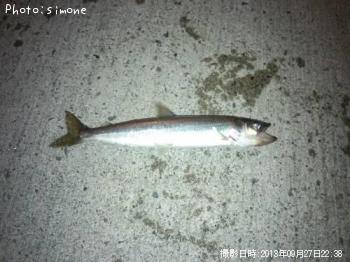 ���奦�ꥦ��