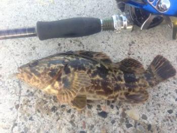 �����Υ���Х�