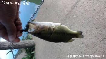 ¥Ö¥é¥Ã¥¯¥Ð¥¹