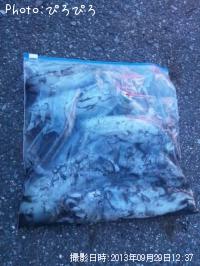 �����ꥤ��