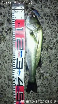 �����Х�