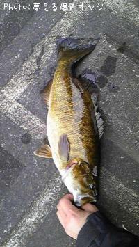 �֥�å��Х�