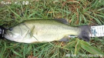 ¥Ö¥é¥Ã¥¯¥Ð¥¹