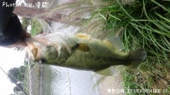 ¥Ö¥é¥Ã¥¯¥Ð¥¹