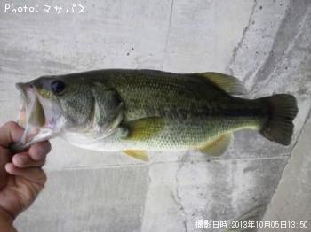 ¥Ö¥é¥Ã¥¯¥Ð¥¹