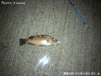 ������Х�