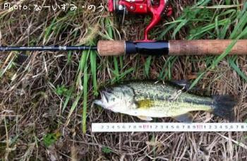 �֥�å��Х�